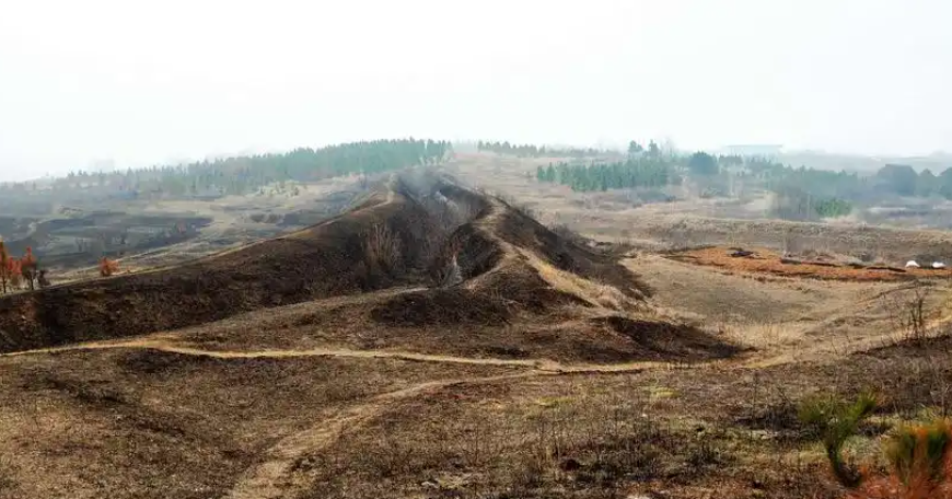 清明將至嚴防山火，輸電線路防山火在線監測裝置筑牢山林間的電力安全防線
